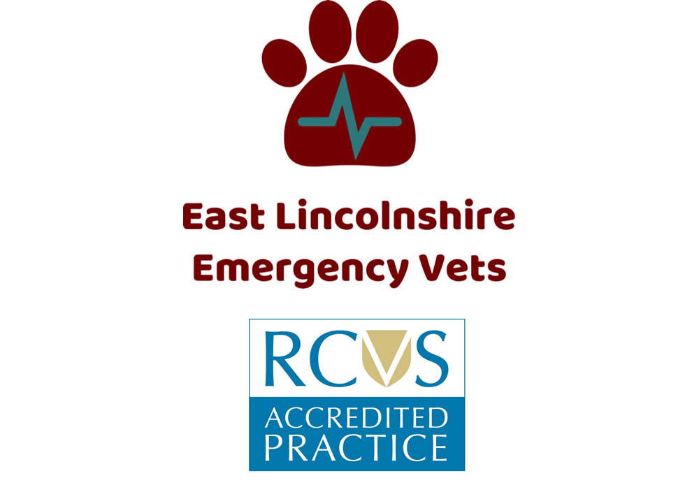 rcvs East Lincolnshire Emergency Vets