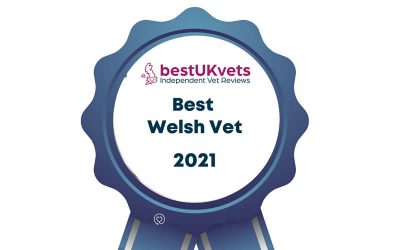 Best Welsh Vet 2021 !